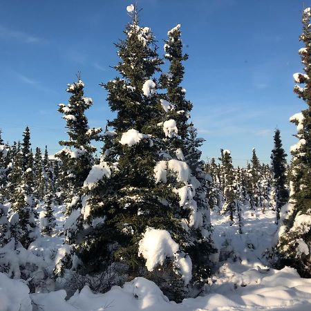 Aurora Denali Lodge Healy Kültér fotó