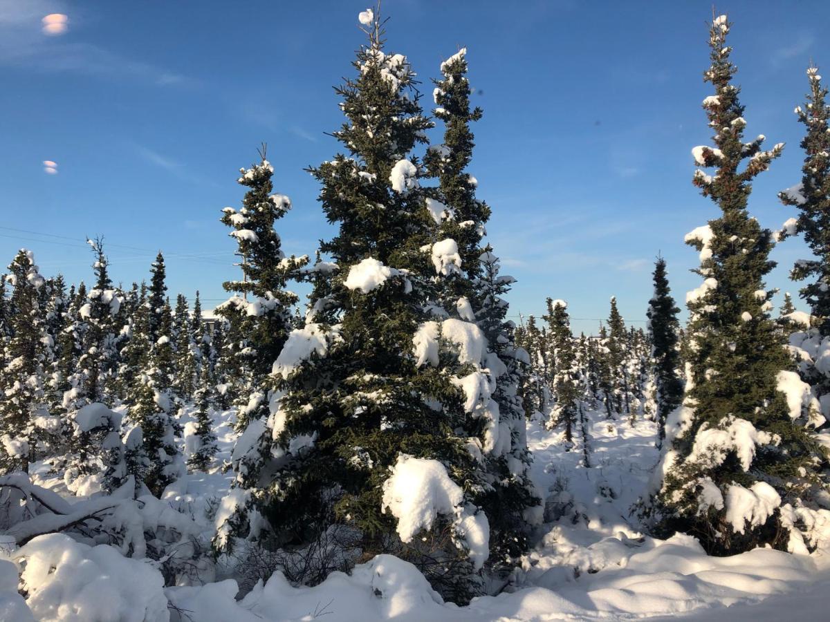 Aurora Denali Lodge Healy Kültér fotó