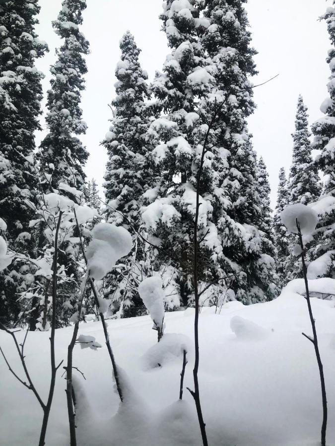 Aurora Denali Lodge Healy Kültér fotó