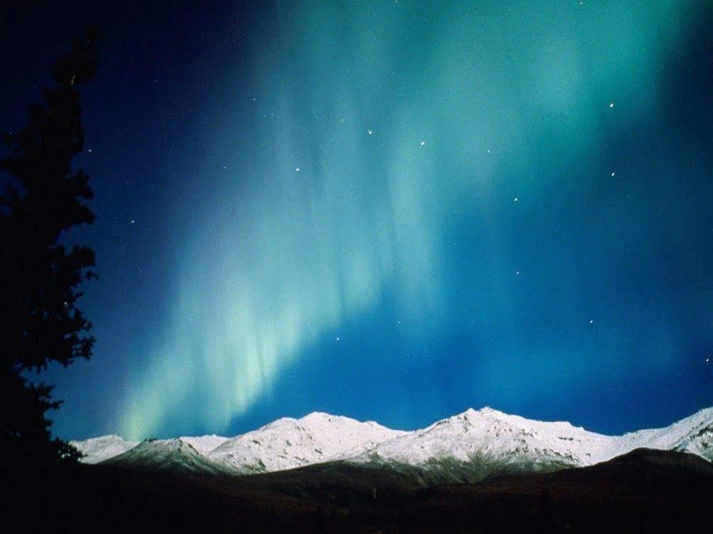 Aurora Denali Lodge Healy Kültér fotó